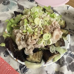 揚げナスと大根おろしの冷しゃぶサラダ